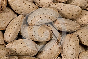 Fresh and tasty almond nuts background, perfect background for your culinary creations,