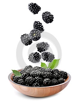 Fresh tasty blackberries falling into bowl on background