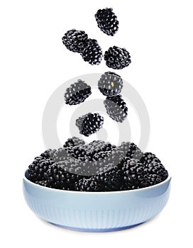 Fresh tasty blackberries falling into bowl on background