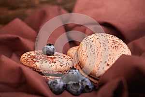 fresh and tasty blueberry berries with chocolate macaroni on fabric