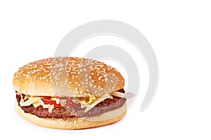 Fresh tasty burger with cheese isolated on white background. Fast food Cheeseburger, copy space template