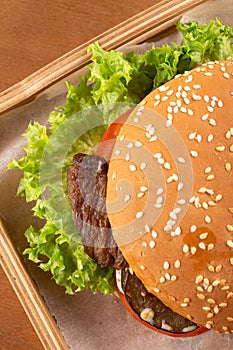 Fresh tasty burger and french fries on wooden table