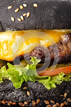 Fresh tasty burger and french fries on wooden table