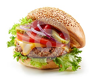 Fresh tasty burger