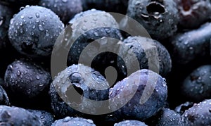 fresh and tasty canadian blueberry fruit in close-up