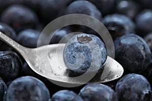 fresh and tasty canadian blueberry fruit in close-up