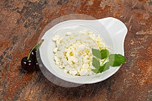 Fresh tasty curd in the bowl