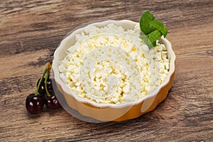 Fresh tasty curd in the bowl