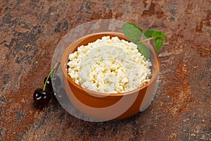 Fresh tasty curd in the bowl