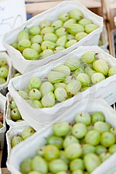 Fresh tasty gooseberries macro closeup on market outdoor