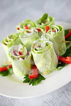 Fresh and tasty green vegetarian spring rolls