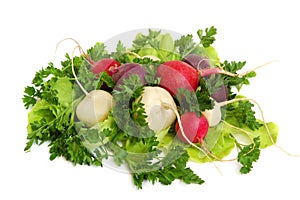 Fresh tasty greens and radish