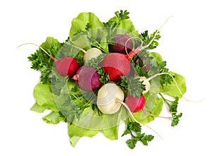 Fresh tasty greens and radish