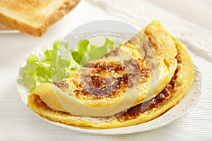 Fresh tasty omelet