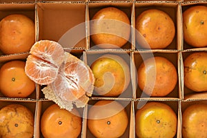 Fresh and tasty organic oranges in delivery packaging box.