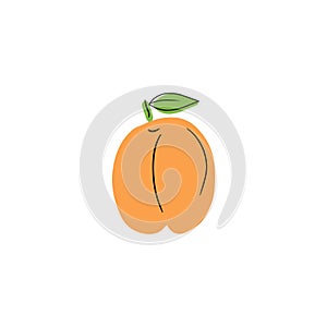 Fresh tasty peach apricot fruit with leaf isolated on white background. Hand drawn vector flat illustration in sketch style.