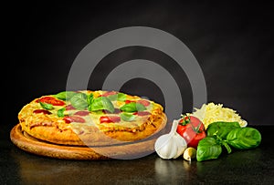 Fresh Tasty Pizza with Ingredients