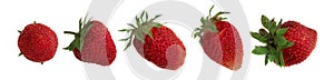 Organic Strawberry Isolated on White Background Close Up