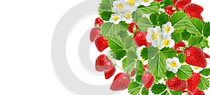 Fresh tasty red strawberries in summer season