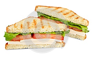 Fresh tasty sandwiches on background