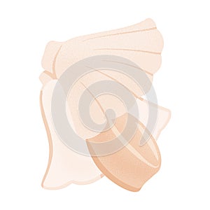 Fresh tasty seafood, scallop in seashell vector hand drawn illustration isolated on white background.