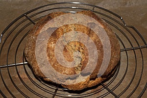 Fresh homemade Irish soda bread after bakong photo