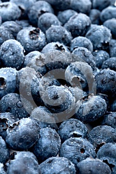 Fresh tasty sweet blue berries