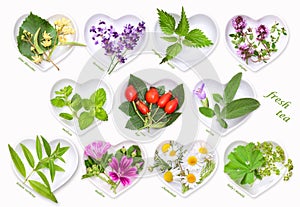 Fresh tea with herbs and fruits