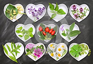 Fresh tea with herbs and fruits