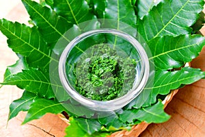 Fresh Thai herb mashed neem leaf on glass bowl.