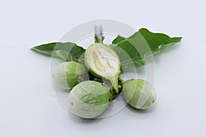 Fresh Thai round green eggplant with fresh leaves and eggplant flower