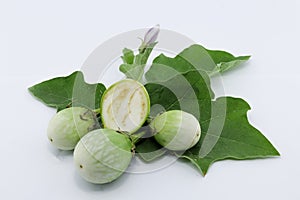 Fresh Thai round green eggplant with fresh leaves and eggplant flower