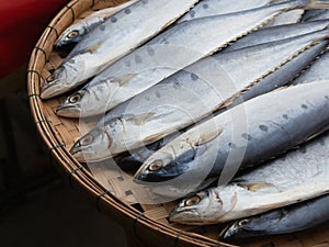 Fresh Thai tuna in trays ready for sale in seafood market.