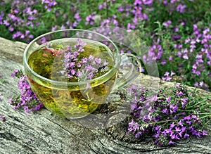 Fresh thyme. Cup of thyme tea on a wooden table. cold and flu remedy