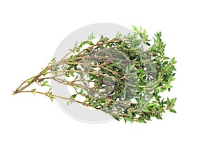 Fresh thyme herb