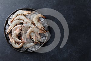 Fresh tiger prawns in a plate with ice