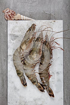 Fresh tiger shrimps. fresh raw shrimps or prawns in on white marble
