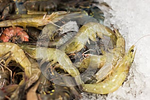 Fresh tiger shrimps in supermarket on ice