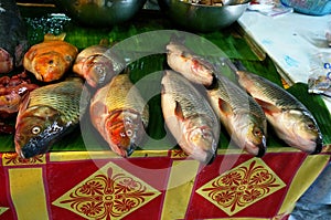 Fresh Tilapia fishes for sale