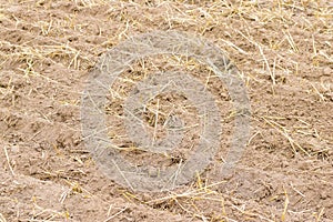 Fresh tillage background