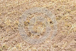 Fresh tillage background