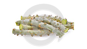 Tinospora crispa on white background photo