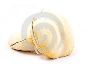 fresh toddy palm isolated