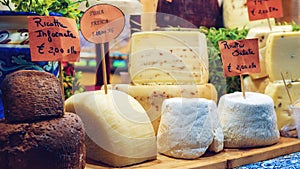 Fresh toma and ricotta, traditional italian hard cheeses on a market stall photo