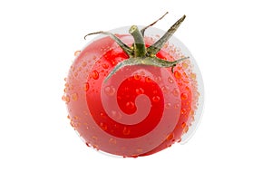 Fresh tomato