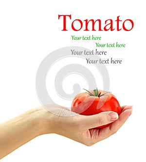 Fresh tomato