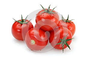 Fresh tomato