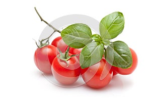 Fresh Tomato And Basil