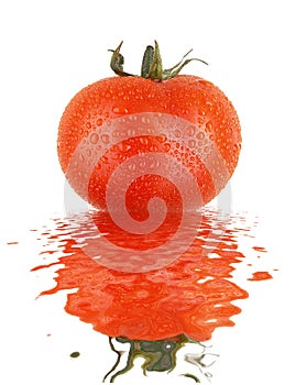 Fresh tomato with drops and refletion photo