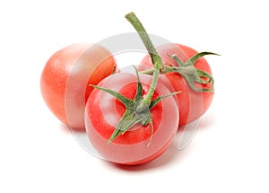 Fresh tomato